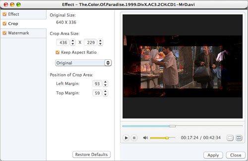 Converting DivX to DVD on Mac