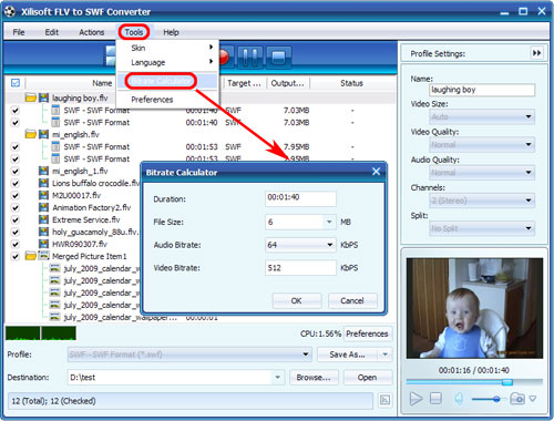 Xilisoft FLV to SWF Converter