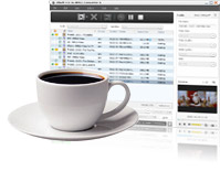 FLV to MPEG converter