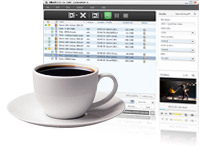 FLV to SWF converter