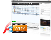 FLV to WMV Converting